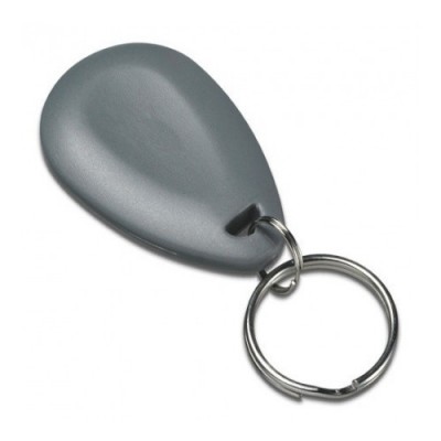 Bentel PROXI-TAG/G - Tag di prossimità Grigi con etichette di identificazione (Conf. da 10 pz.)