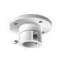 Hikvision DS-1663ZJ - Montaggio a soffitto
