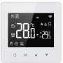 Risco RPZWTH868EUA - Termostato con uscita relè C-NC-NO max 1A. Alimentazione