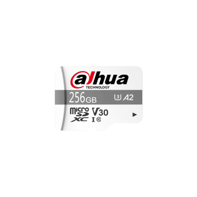 Dahua TF-P100-256G - Scheda Micro SD card 256 GB